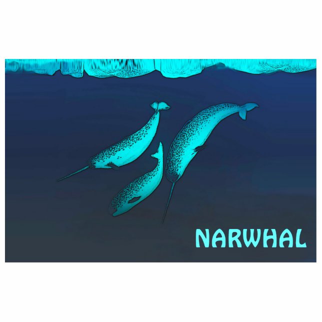 Narwhal unter dem Eis Fotoskulptur Magnet (Vorne)