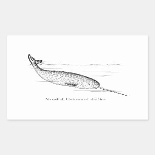 Narwhal Whale Einhorn des Meeres Rechteckiger Aufkleber