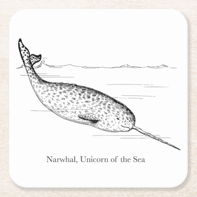 Narwhal Whale Einhorn des Meeres Rechteckiger Pappuntersetzer (Vorderseite)