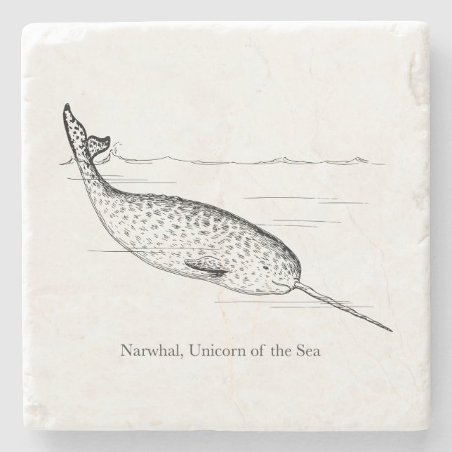 Narwhal Whale Einhorn des Meeres Steinuntersetzer (Vorderseite)