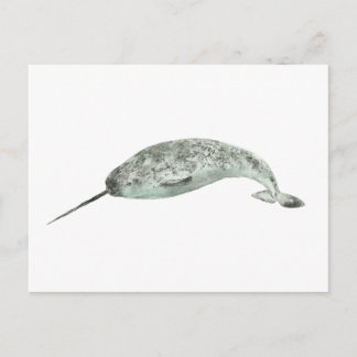 Narwhal whale watercolor postkarte