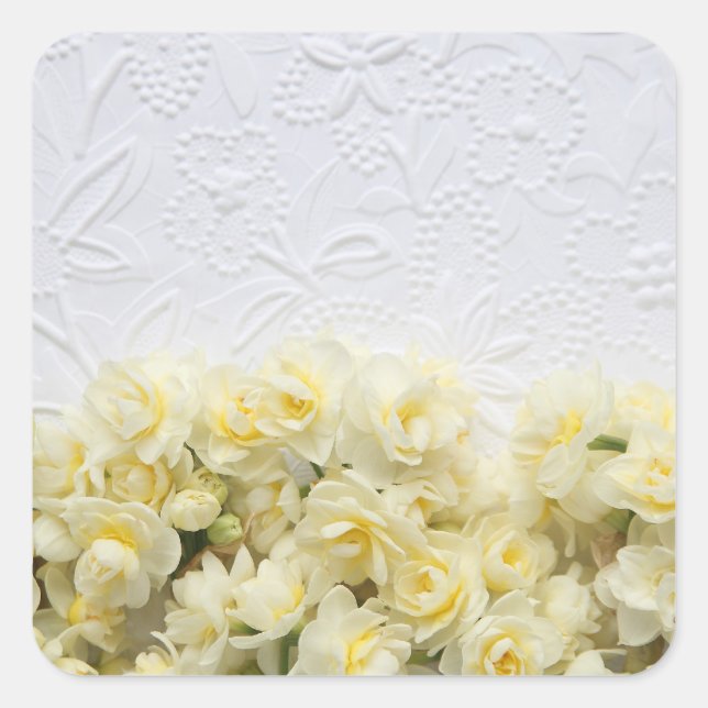 Narziss-Blume gegen texturiertes Papier Quadratischer Aufkleber (Vorderseite)