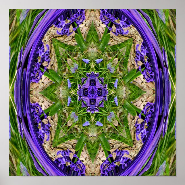 Narziss Garden...... Poster (Vorne)