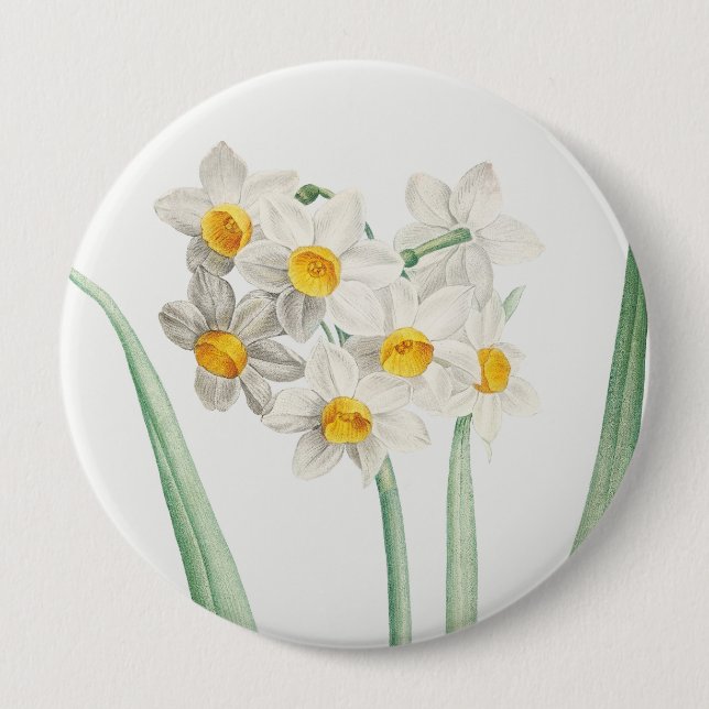 Narziss, Pierre-Joseph Redouté, 1805 Button (Vorderseite)