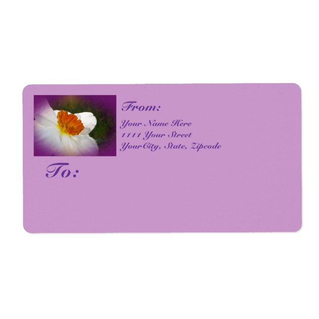 Narziss - Springtime Beauty (Vorne)