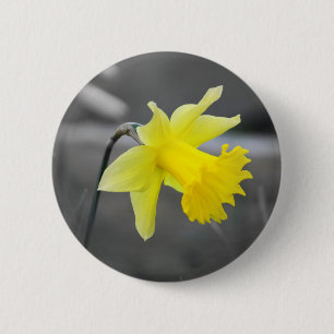 Narzisse Button