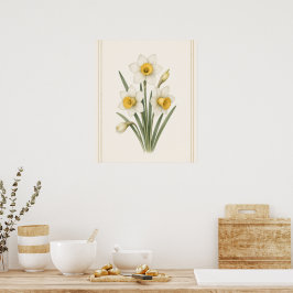 Narzisse, Dezember-Geburtsblume Botanische Kunst Poster
