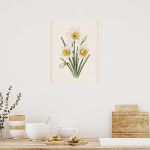 Narzisse, Dezember-Geburtsblume Botanische Kunst Poster