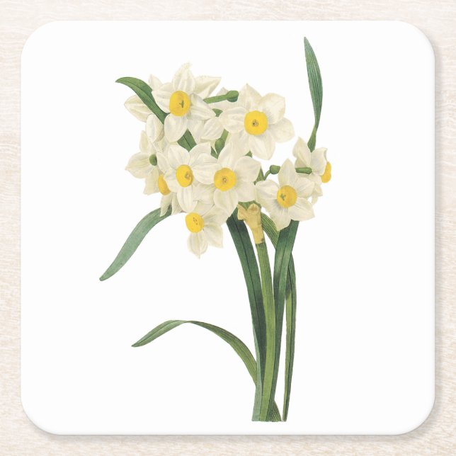 Narzisse (Narcissus tazetta) von Redouté Rechteckiger Pappuntersetzer (Vorderseite)