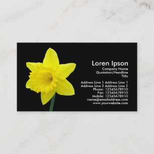 Narzisse - Schwarzes Visitenkarte