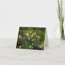 Narzissen in Stenton House Folded Note Card