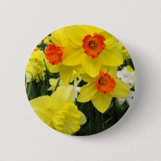 Narzissen-Mischung einfach Button
