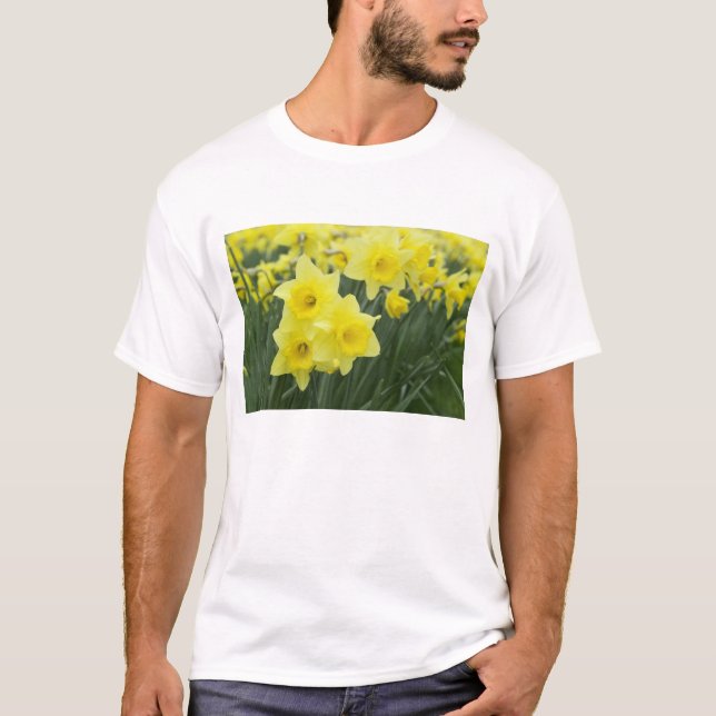 Narzissen RF) T-Shirt (Vorderseite)