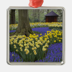 Narzissen-, Traubenhyazinthen- und Tulpen-Garten, Silbernes Ornament