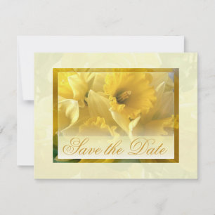 Narzissus-Ankündigungen Einladung