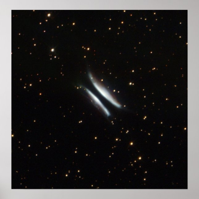 NASA - Gomez's Hamburger Poster (Vorne)