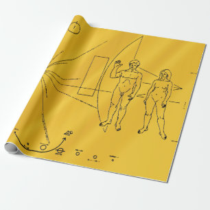 NASA Pioneer 10 Raumsonde Goldplakette Geschenkpapier