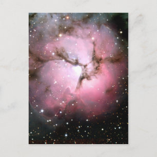 NASA Rosa Sterne SSC2005 Postkarte