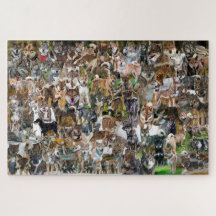 NASC 2022 Jigsaw Puzzle