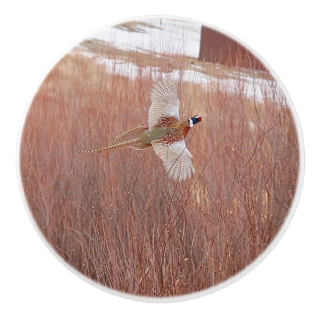 Nasenhalsklatsche Keramik Keramikknauf (Vorderseite)