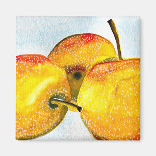 Nashi Birnen Gelbe Aquarellfrucht Magnet