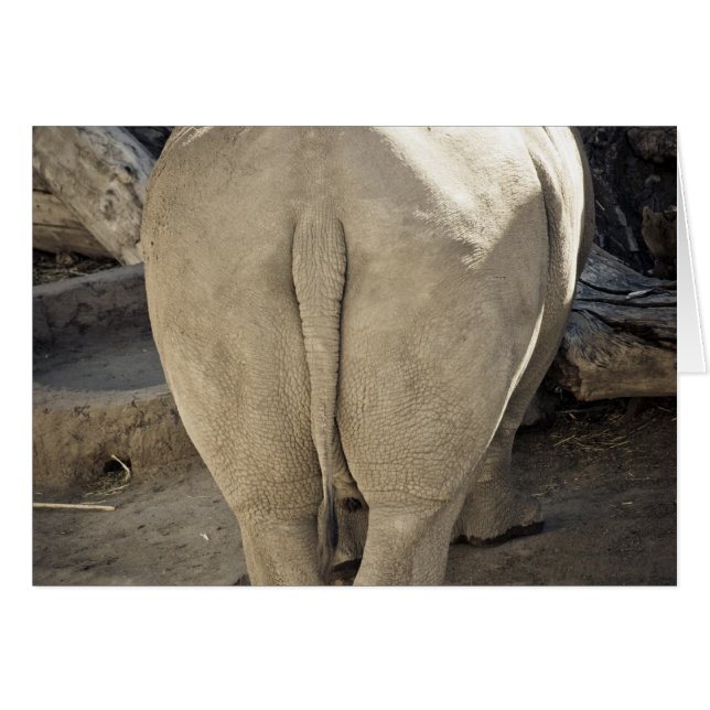 Nashorn (Vorderseite (Horizontal))