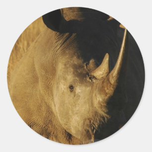 Nashorn-Aufkleber Runder Aufkleber