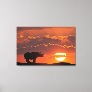 Nashorn bei Sonnenuntergang, Masai Mara, Kenia Leinwanddruck
