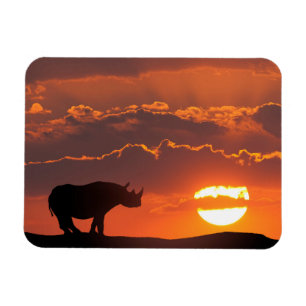 Nashorn bei Sonnenuntergang, Masai Mara, Kenia Magnet