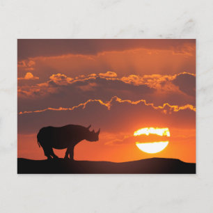 Nashorn bei Sonnenuntergang, Masai Mara, Kenia Postkarte