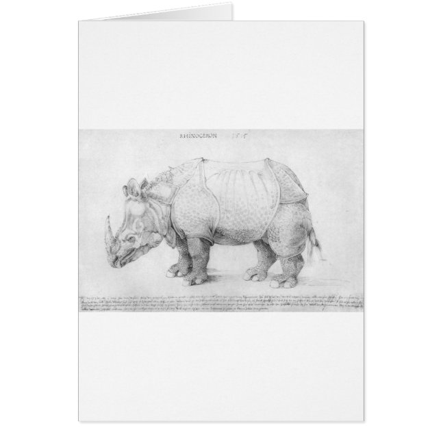 Nashorn durch Albrecht Durer (Vorne)