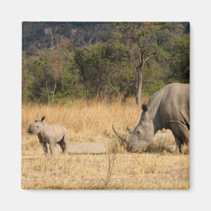 Nashorn-Familien-Quadrat Magnte Magnet