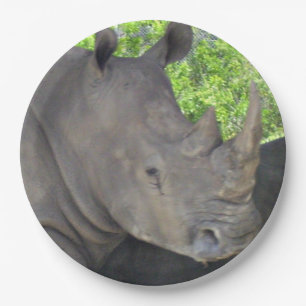 Nashorn Gesicht Pappteller