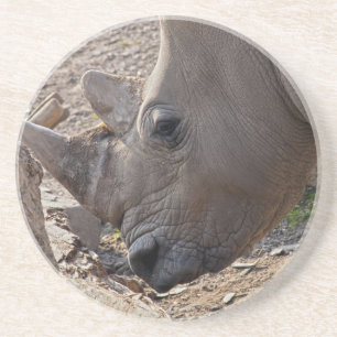 Nashorn Getränkeuntersetzer