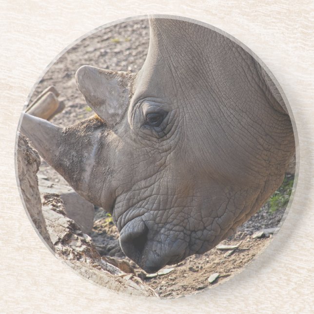 Nashorn Getränkeuntersetzer (Vorne)