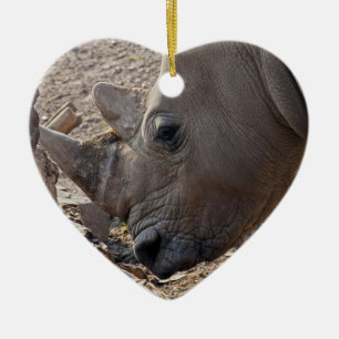 Nashorn Keramikornament