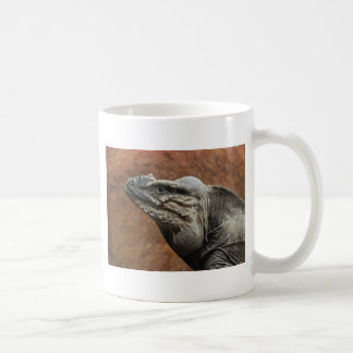 Nashorn-Leguan Tasse