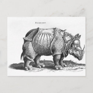 Nashorn, von 'Historia Animalium Postkarte