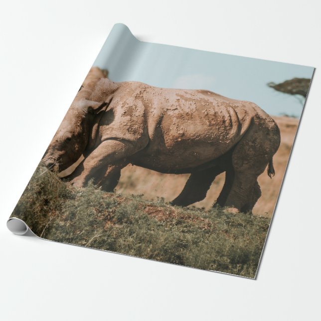 NASHÖRNER WEIDEN IN AFRIKA GESCHENKPAPIER (Ungerollt)