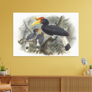 Nashornvogel Leinwanddruck