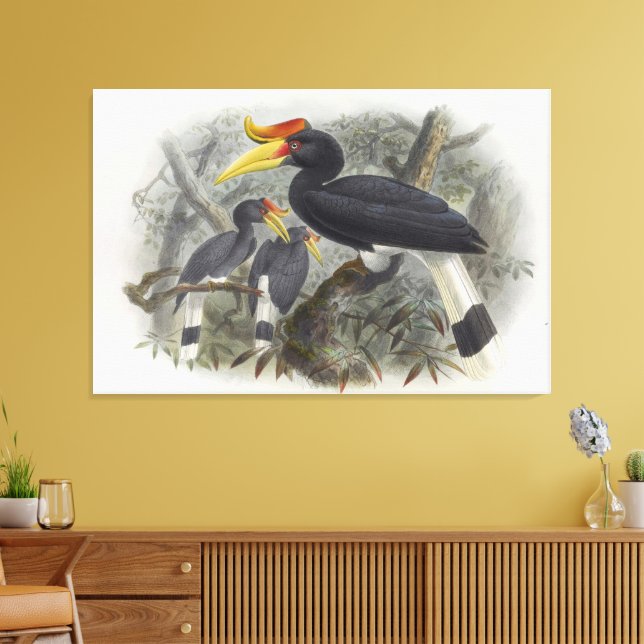 Nashornvogel Leinwanddruck (Insitu (Wohnzimmer))