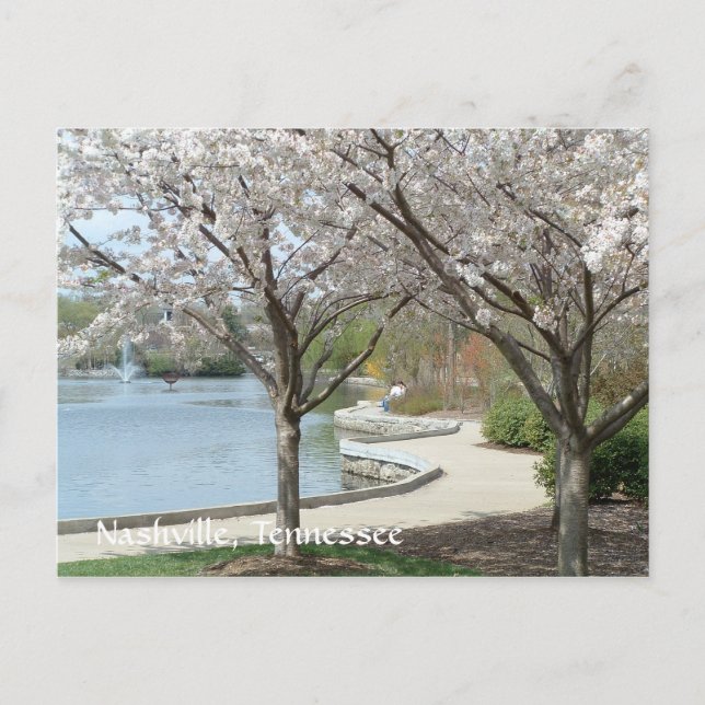 Nashville - Centennial Park in Bloom Postkarte (Vorderseite)