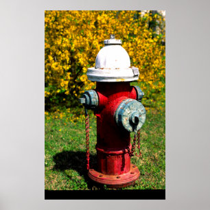 Nashville-Hydranten Poster