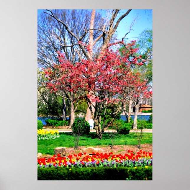 Nashville Spring Poster (Vorne)