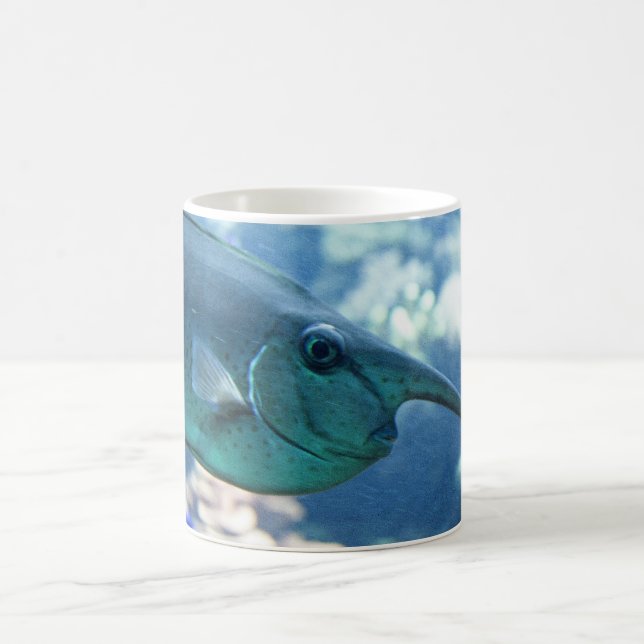Naso brevirostris tasse (Mittel)