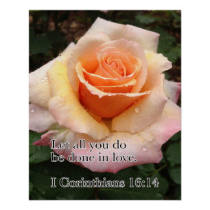 NASS ROSE MIT LIEBE POSTER