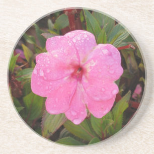 NassBlume Untersetzer