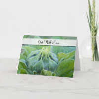 Nassblütenknospe Nah-Up-Foto