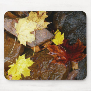 Nasse Blätter und Felsen Herbst Naturfotografie Mousepad