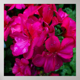 Nasse Blumen Poster